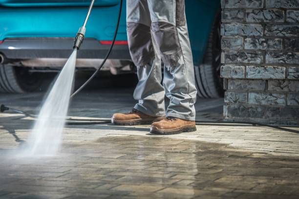 Best Paint Preparation  in North Gates, NY