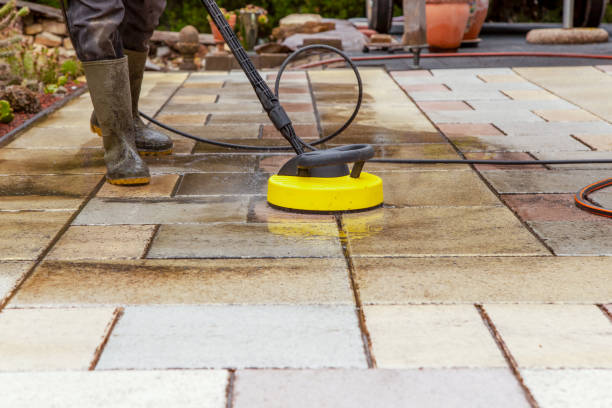 Best Solar Panel Cleaning  in North Gates, NY